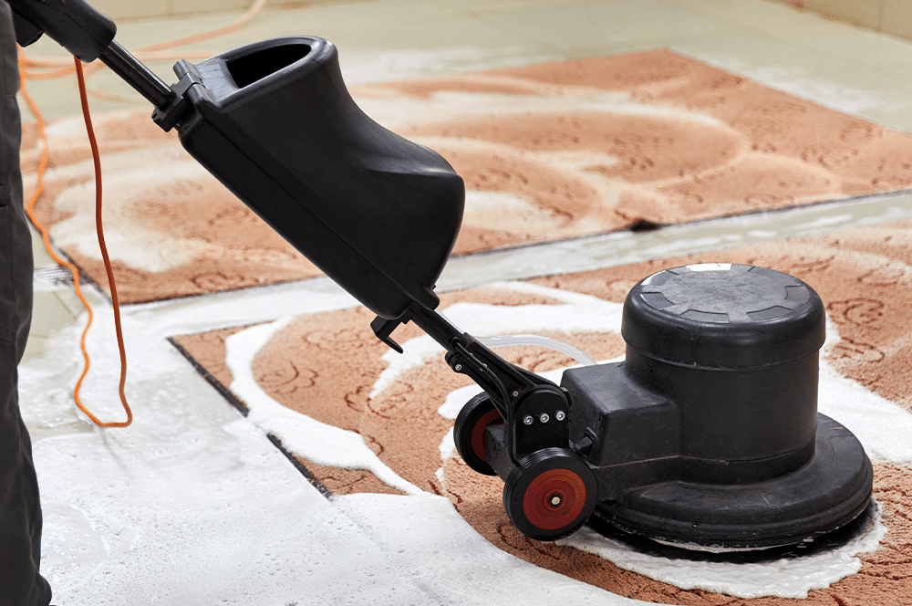 steam or shampoo carpets