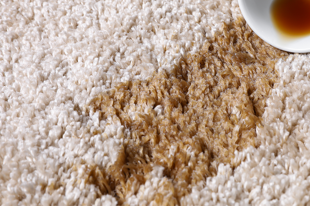 7 Common Types of Carpet Damage and How Professional Cleaning Helps