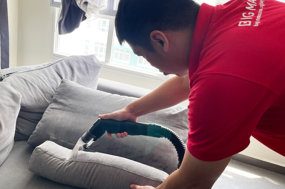 sofa cleaning services