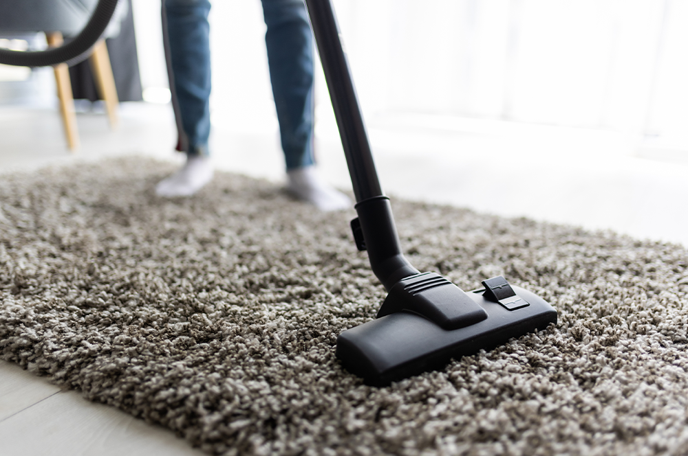 steam carpet cleaning